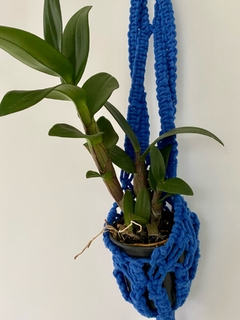 Macramê Azul - Orquideomania - A Melhor loja para comprar Orquídeas online.