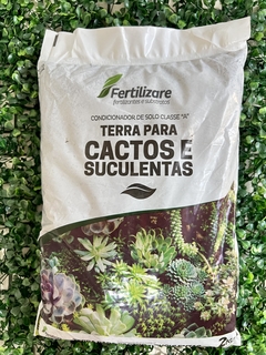 Substrato para cactos e suculentas - comprar online