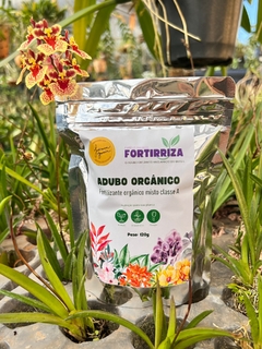 kit Orquídea Toluminia + Fortirriza 120 gramas - comprar online