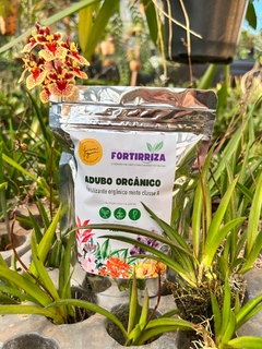 kit Orquídea Toluminia + Fortirriza 120 gramas na internet