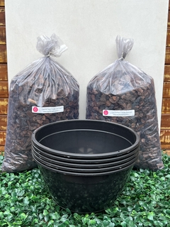 kit para plantio Cuia + casca de pinus e carvão tratados. - comprar online