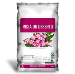Terra especial Rosa do Deserto, Amarílis e Suculentas.
