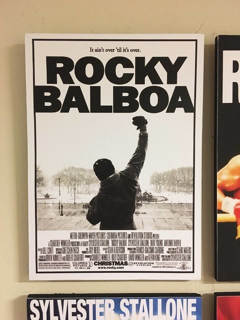 Cuadro Rocky 1 - comprar online