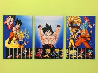 Cuadros - Tríptico Evolución de Goku
