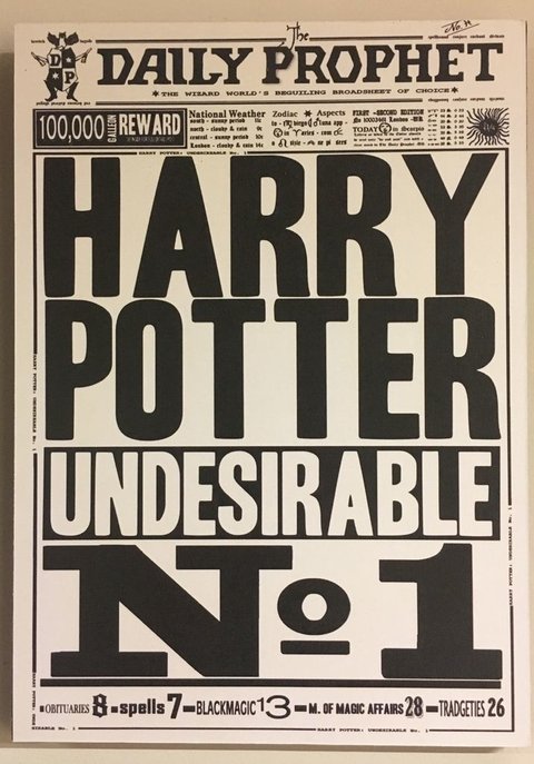 4 Cuadros Harry Potter Diarios
