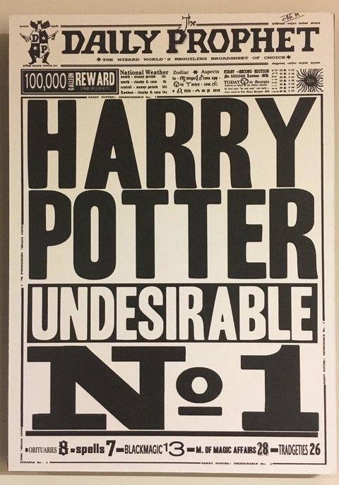 Cuadro Harry Potter Undesirable Nº1