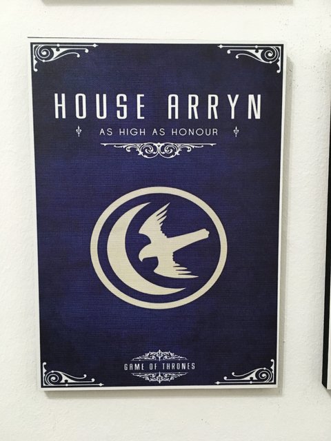 Cuadro Game of Thrones Casa Arryn - comprar online