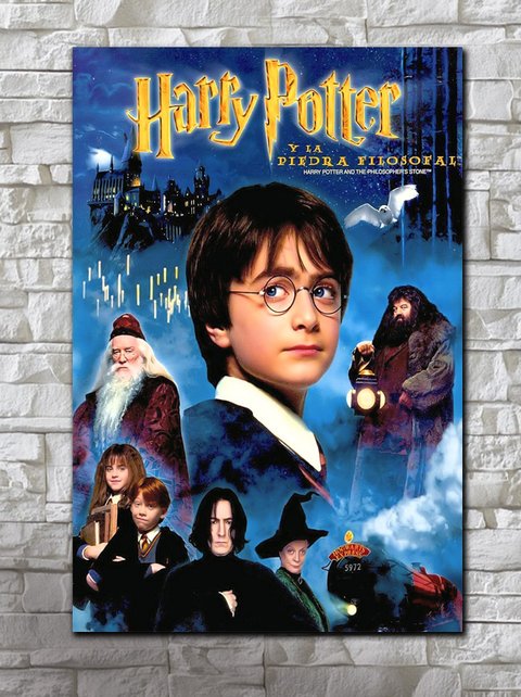 Cuadro Harry Potter y la Piedra Filosofal Español - comprar online