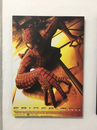 Combo 3 Cuadros Spiderman Películas - Deco Delorean
