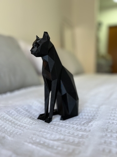 GATO NEGRO