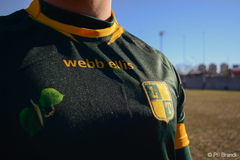 Camiseta Rugby Eurotech Los Tilos en internet