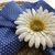 Guardanapo azul cornflower poá na internet