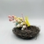 Enfeite Ninho com ovos coloridos 9x13cm na internet