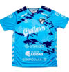 Camiseta Quilmes Arquero Hummel 2023
