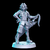 Tidus, O Guerreiro - Sem Pintura, Miniatura 3D Média Para Rpg de Mesa
