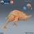 Beak Runner - Sem Pintura, Miniatura 3D Médio Para Rpg de Mesa na internet