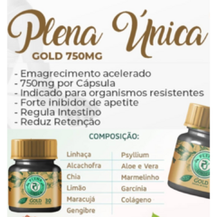 PLENA UNICA GOLD - loja online