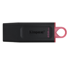 PENDRIVE KINGSTON DTX 256GB USB 3.2 DATA TRAVELER EXODIA