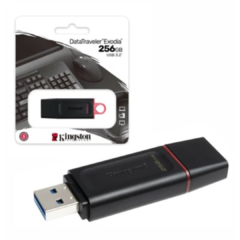 PENDRIVE KINGSTON DTX 256GB USB 3.2 DATA TRAVELER EXODIA en internet