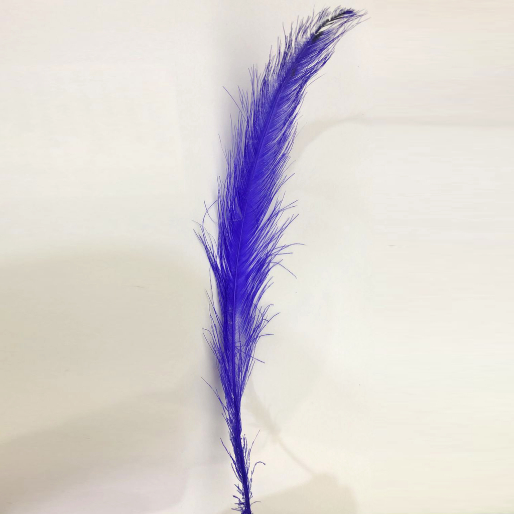 Pluma buenos 2025 aires florianopolis
