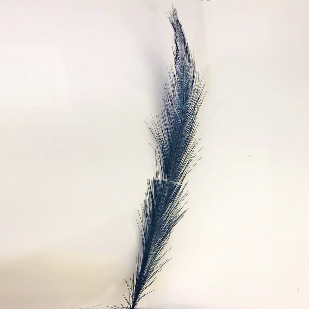Plumas grandes x1 Comprar en Miramar Plasticos