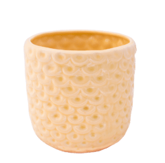 Maceta Piña blanca - comprar online