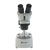 Microscopio Analogico Sunshine ST3024R-2L Zoom 2X-4X