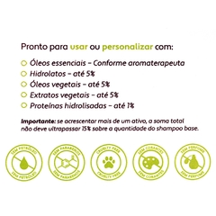 Shampoo Neutro para Personalizar 100% Natural e Vegano Low Poo 500 ml na internet