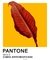 Colección Pantone de @totomontivero_ - comprar online