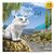 Michi The White Cat - comprar online