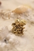 Earcuff Coral - comprar online