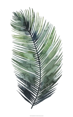 gravura de palmeiras