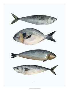 Four Fish II - Emma Scarvey - comprar online