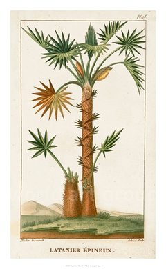 Turpin Exotic Palms I - Turpin - comprar online