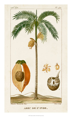Turpin Exotic Palms V - Turpin - comprar online