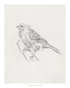 Avian Study III - Ethan Harper - comprar online