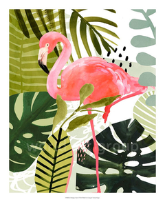 gravura com aves flamingo