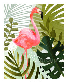 gravura flamingo