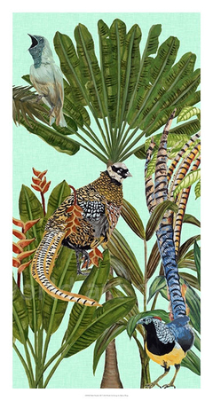 gravura pássaro tropical