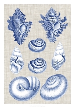 quadro de conchas
