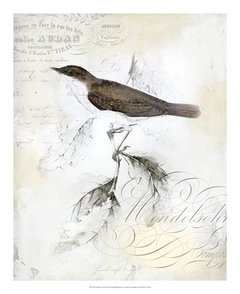 gravuras de pássaros clássicas