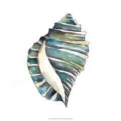 Aquarelle Shells I - Chariklia Zarris - comprar online