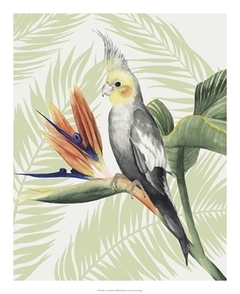 Avian Paradise I - Grace Popp - comprar online