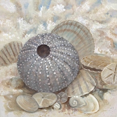 gravura de conchas para quadro
