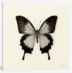 Butterfly III BW- Debra Van Swearingen - comprar online