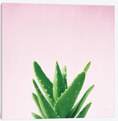 Succulent Simplicity On Pink III - Felicity Bradley na internet