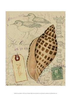 Postcard Shells I - NancyShumaker Pallan