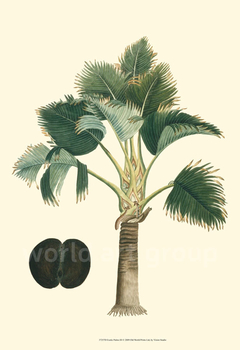 quadro de botanica