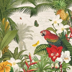 poster papagaio