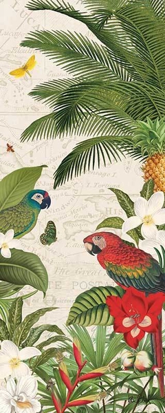 gravura de aves tropicais